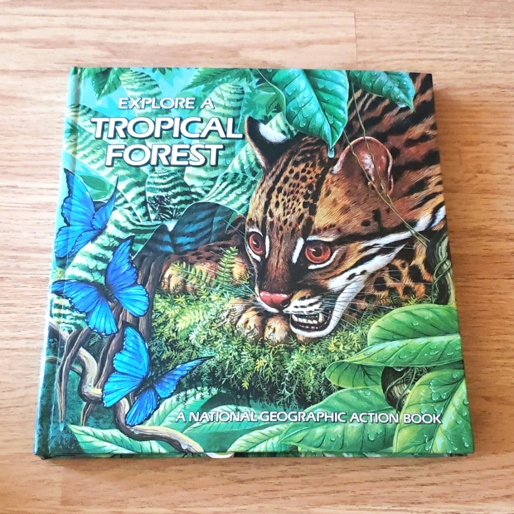 Vtg 1989 Explore a Tropical Forest, Pop-up Book
